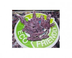 Real Reef Rock - Branched Box 16 Kg