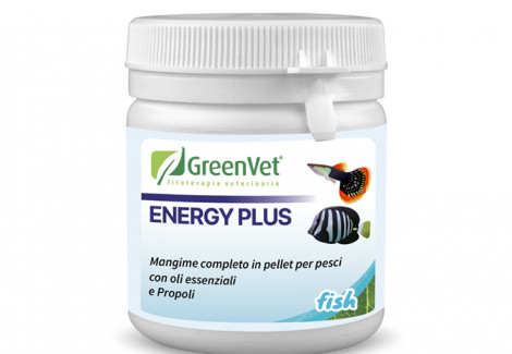 Energy Plus Barattolo 70G