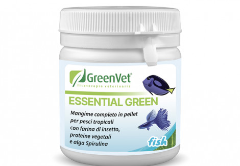 Essential Green Barattolo 150 G