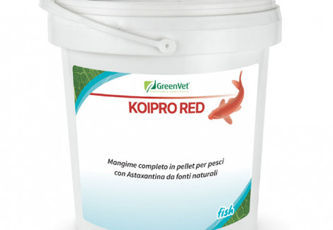 Koipro Red Secchiello 1Kg