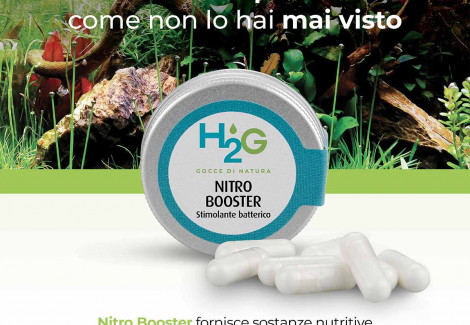 Nitro Booster Barattolo 20 Cps