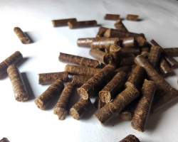 Pellet Di Catappa 100 G