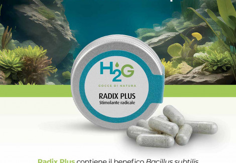 Radix Plus Barattolo 20 Cps