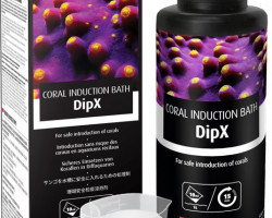 Dipx - 500Ml