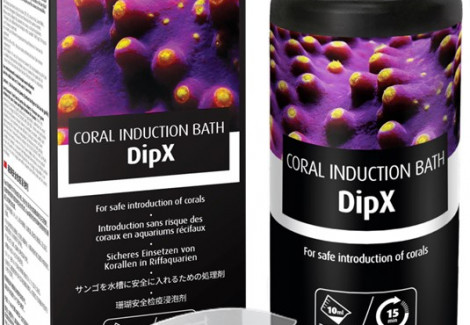 Dipx - 500Ml