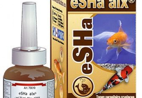 Esha Alx - 20Ml