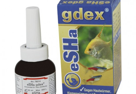 Esha Gdex - 20Ml