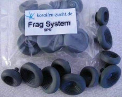 Frag System Sps + Soft Corals - 10 Pcs