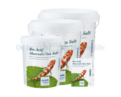 Bio-Actif Sea Salt Box - 4 Kg For 100-120 L