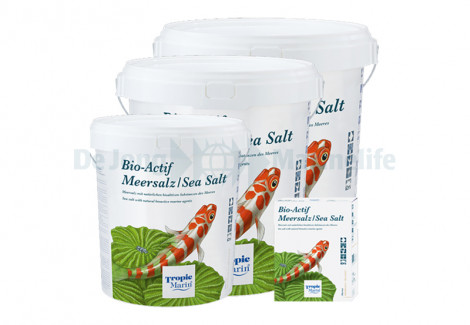 Bio-Actif Sea Salt Box - 4 Kg For 100-120 L