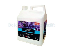 Foundation Calcium+ (Ca/Sr/Ba) - 5 L