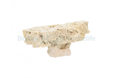 Cutted Top Pedestal Rock - 10-20Cm (Box 10 Pcs)