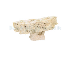 Cutted Top Pedestal Rock - 20-30Cm (Box 5 Pcs)