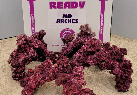 Real Reef Arches - 4Pcs A Box Xxxxl