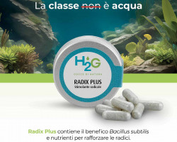 Radix Plus Barattolo 20 Cps