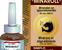 Esha Minaroll - 20Ml