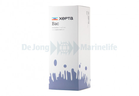 Xepta Bac - 1000Ml