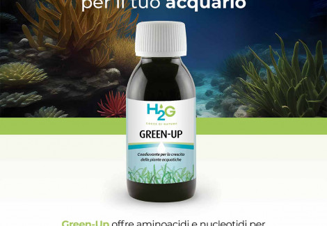 Green-Up Flacone 100 Ml